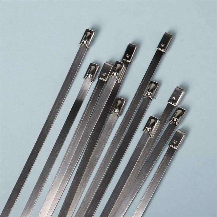 Hlau Zip Tie